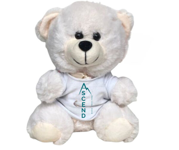 Ascend Teddy Bear (PICK UP AT STUDIO)
