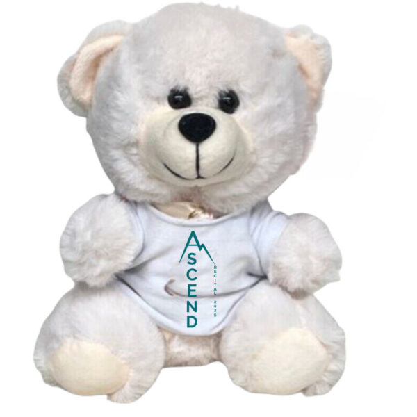 Ascend Teddy Bear (PICK UP AT STUDIO)